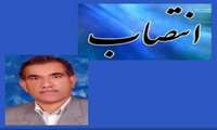 انتصاب دکتر محمد علی مولوی به عنوان مدیر گروه کودکان دانشکده پزشکی