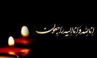 پیام تسلیت رئیس دانشگاه علوم پزشکی هرمزگان به مناسبت درگذشت پدر گرامی دکتر حانیه سلطانی،سرپرست امور پشتیبانی و رفاهی دانشگاه 