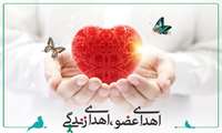 احمد صالحی سودروئی، ناجی زندگی سه بیمار 