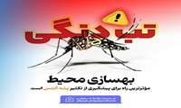 بهسازی محیط گامی  موثربرای مقابله با پشه آئدس است 