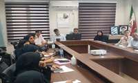 پایش گروهی و بازدید مدیریتی معاونت بهداشتی دانشگاه از شهرستان سیریک