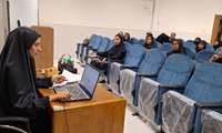 برگزاری کارگاه آموزشی بیماری‌های منتقله از ناقلین برای بهورزان شهرستان بشاگرد 