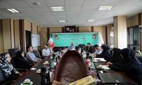 بررسی ارتقای خدمات درمانی نوزادان در بیمارستانهای کودکان و شریعتی بندرعباس 