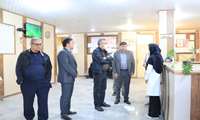 پیگیری جدی اقدامات پیشگیرانه برای مقابله با پشه مهاجم آئدس در هرمزگان 