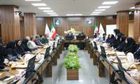 لزوم هم‌افزایی بین‌بخشی برای کنترل تب دنگی در هرمزگان / ۱۳۸ مورد مبتلا به بیماری تاکنون شناسایی شده است