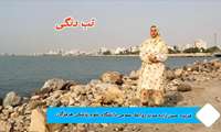 نقش زنان هرمزگانی در پیشگیری از تب دِنگی