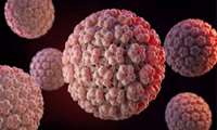 کنفرانس علمی انواع شوک و درمان آن / کنفرانس علمی HPV در زنان