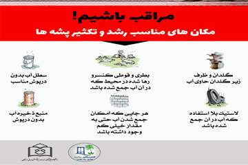پشه آئدس 