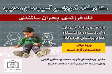  کارگاه آموزشی آسیب ها و معایب تک فرزندی، بحران سالمندی