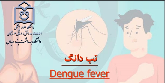 تب دانگ  